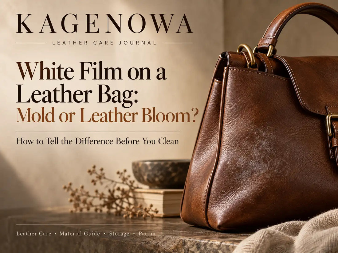 White Film on a Leather Bag: Mold or Leather Bloom?
