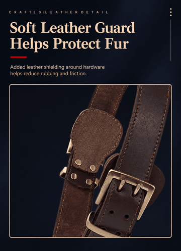 Ensemble de harnais pour chien en cuir pleine fleur Kurotani